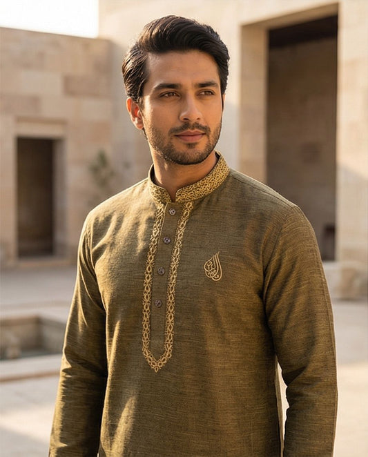 Premium Embroidered Panjabi | 387 - Raakaat