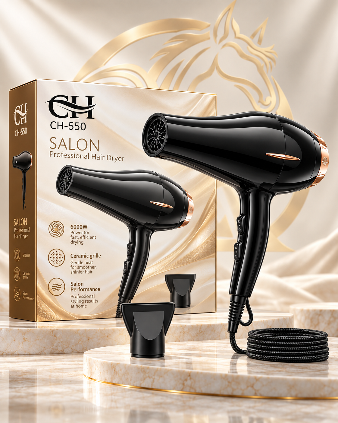 CH-550 Salon Professional Hair Dryer box and nozzle